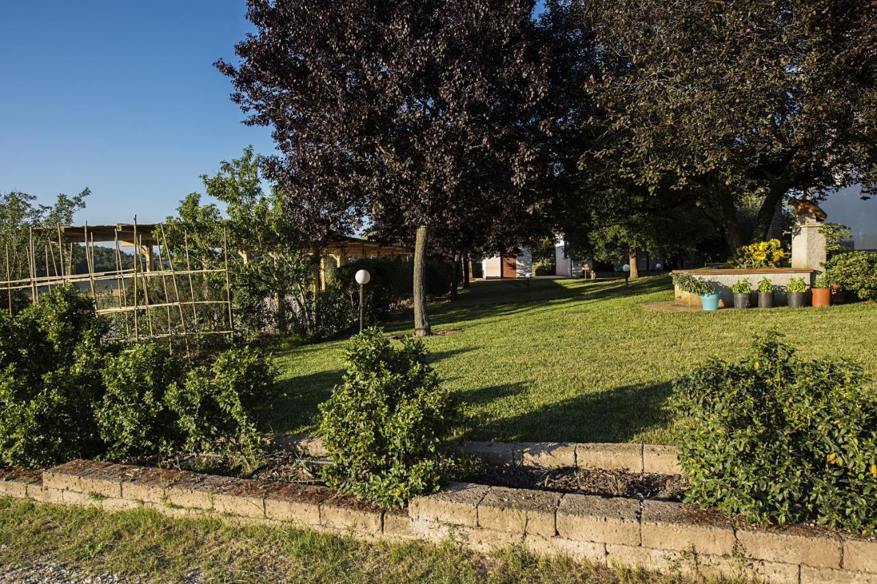 Agriturismo Il Fontanile 马西利亚纳 外观 照片
